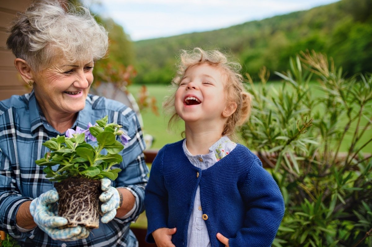 For Grandparents - Dad Certified®
